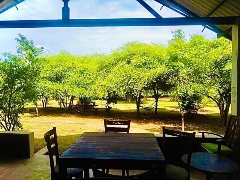 Thihawa Eco Huts Yala Bed & Breakfast Tissamaharama Luaran gambar