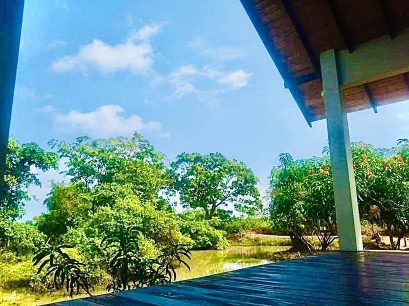 Thihawa Eco Huts Yala Bed & Breakfast Tissamaharama Luaran gambar