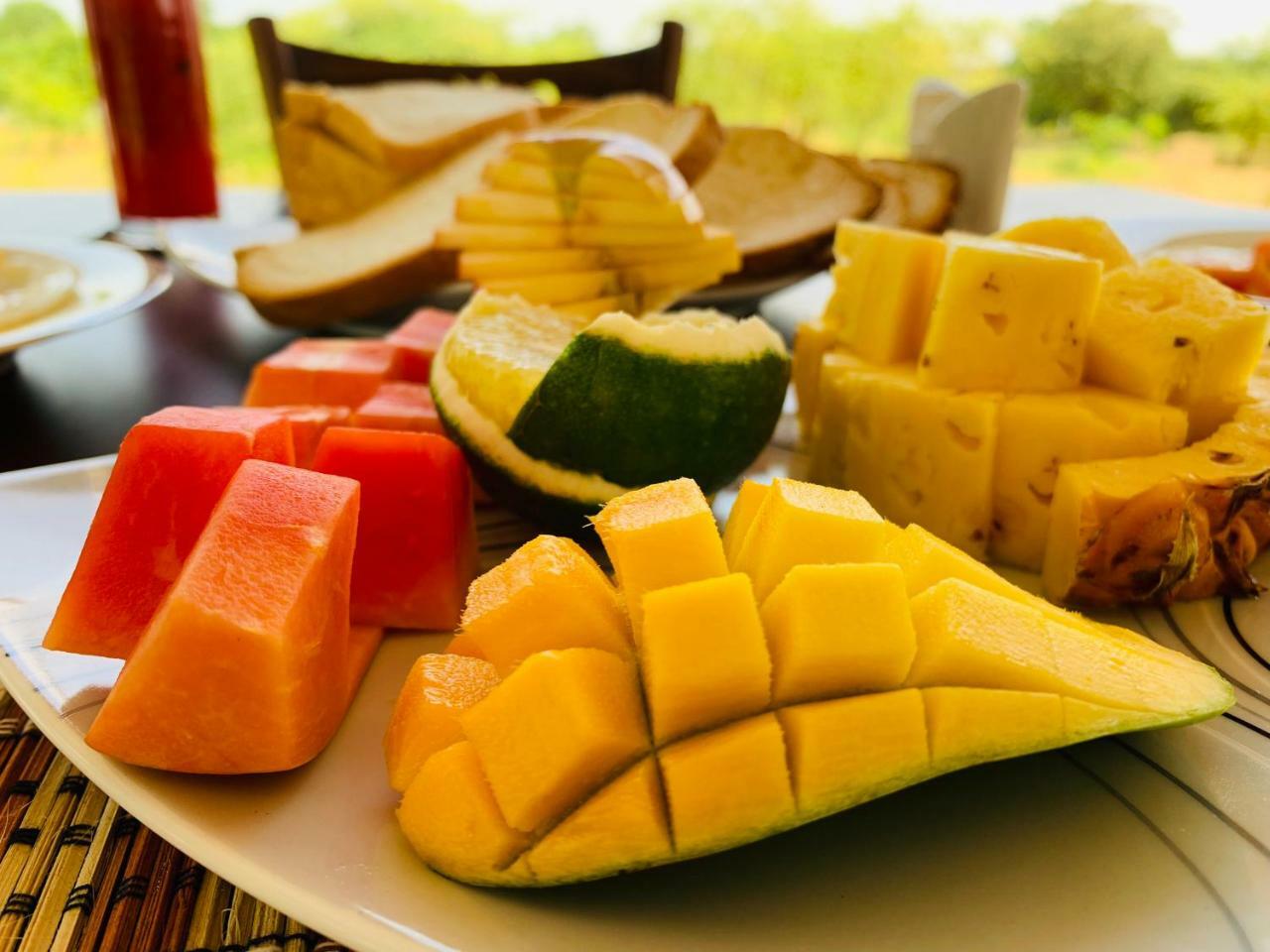 Thihawa Eco Huts Yala Bed & Breakfast Tissamaharama Luaran gambar