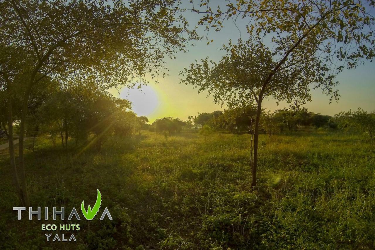 Thihawa Eco Huts Yala Bed & Breakfast Tissamaharama Luaran gambar