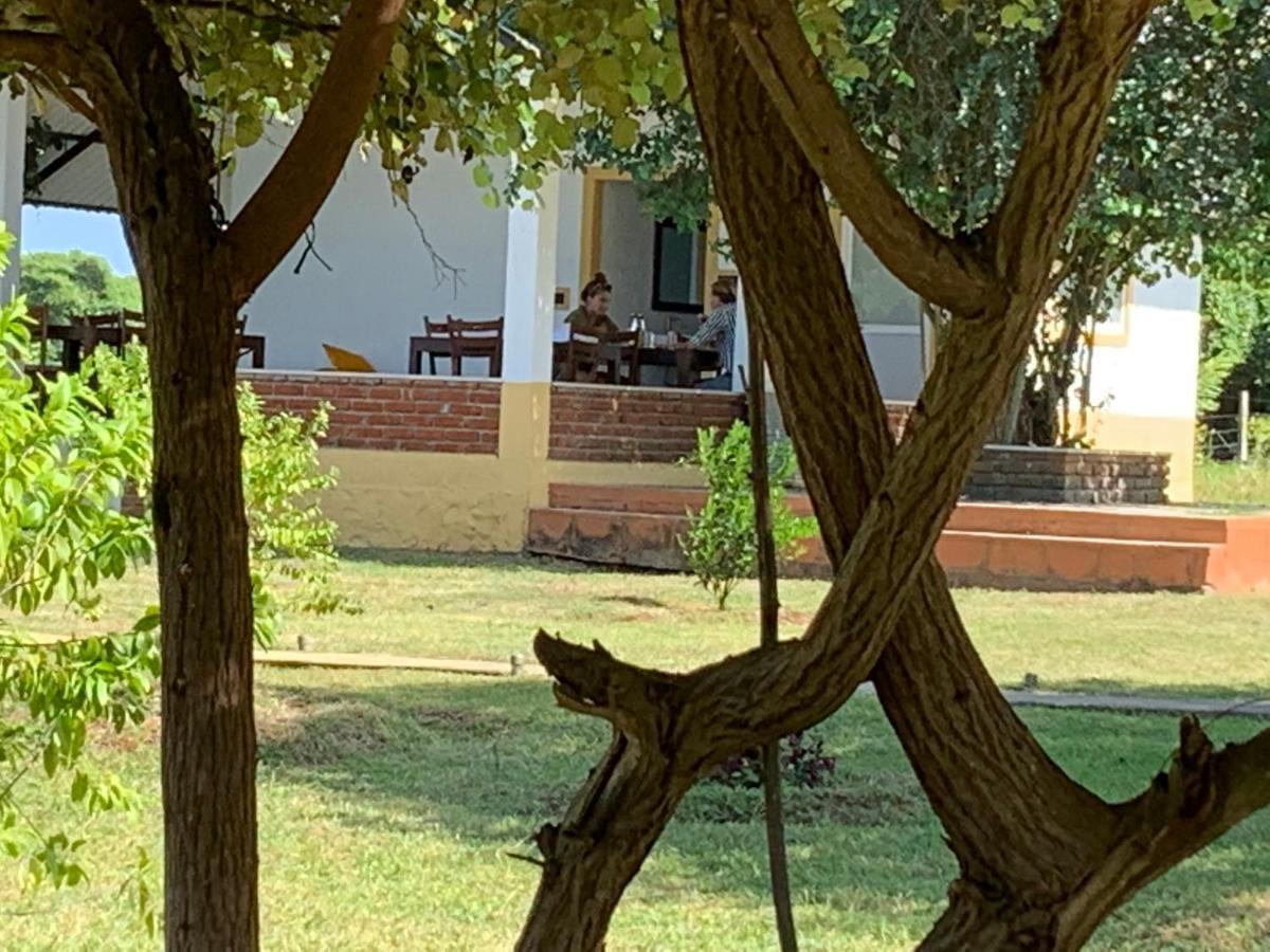 Thihawa Eco Huts Yala Bed & Breakfast Tissamaharama Luaran gambar