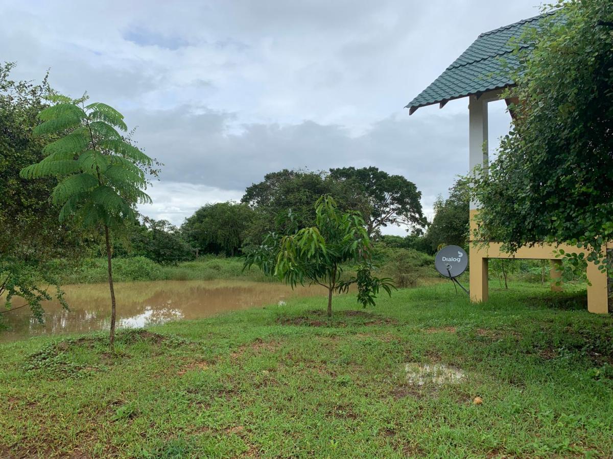 Thihawa Eco Huts Yala Bed & Breakfast Tissamaharama Luaran gambar