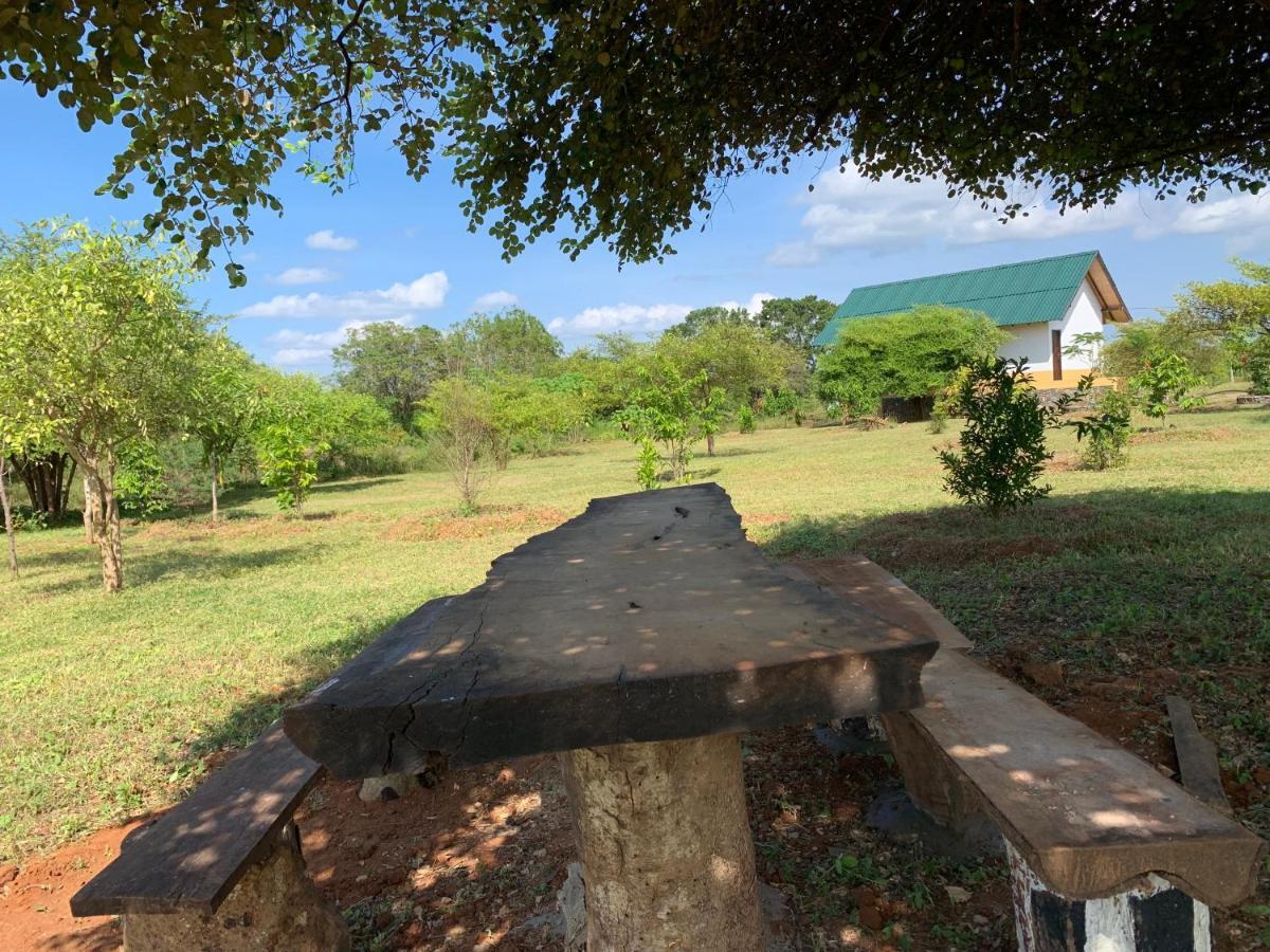 Thihawa Eco Huts Yala Bed & Breakfast Tissamaharama Luaran gambar